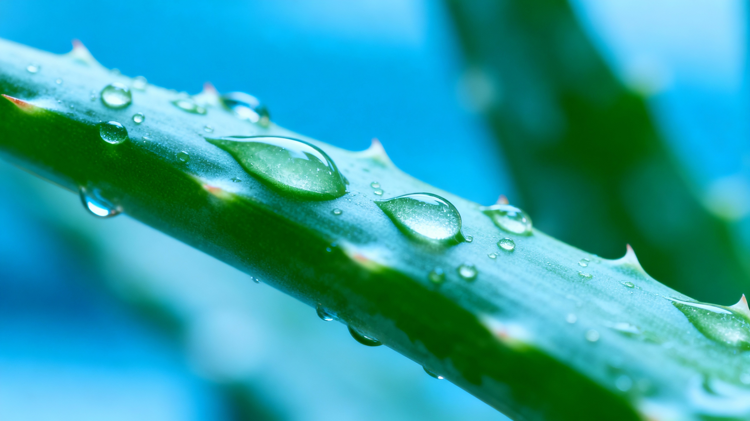 Managing Shingles with the Right Actions